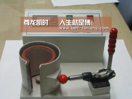 尊龙凯时案例展示六